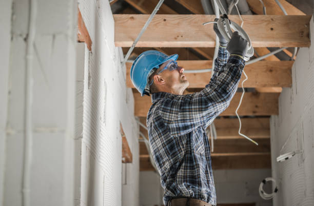 Best Electrical System Inspection  in Bridgman, MI