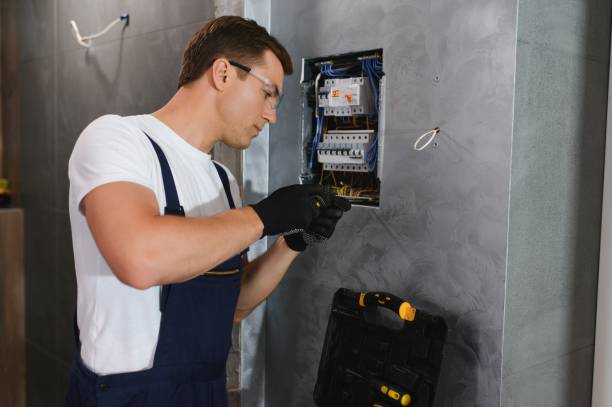 Best Affordable Electrical Installation  in Bridgman, MI