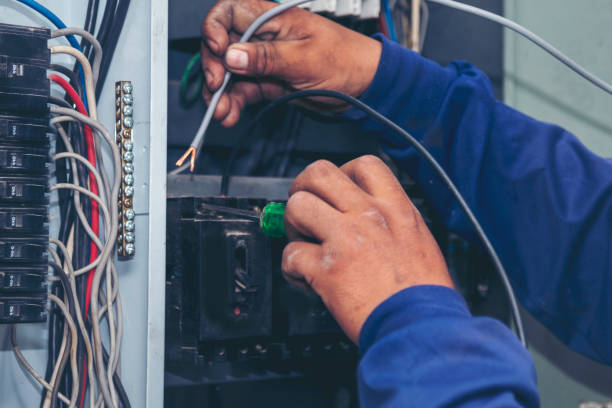 Best Industrial Electrical Services  in Bridgman, MI